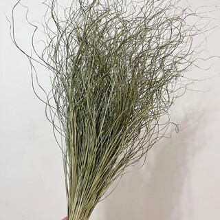 Yusenyi long branch fairy grass dried bouquet small fresh living room decoration thin reeds 3 bunches 75 count about 80cm long