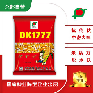 Прямая доставка в штаб-квартиру fuyou dk1777, семена полевой кукурузы, устойчивые к полеганию, крупный початок средней плотности, хорошее качество риса и быстрое обезвоживание, 4200 зерен
