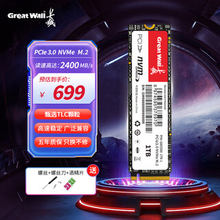 长城（Great Wall）1TB SSD固态硬盘 M.2接口(NVMe协议)PCIe 3.0 GW3300系列 