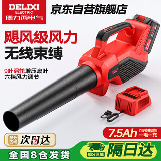 Delixi electric rechargeable blower powerful hair dryer high-power industrial wireless dust blower lithium battery storm gun 7.5ah