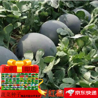 Super sweet seedless watermelon seeds, black skin, stable production, thin skin, red heart, extra large watermelon seeds, vegetable and fruit seeds for all seasons, black skin, seedless watermelon seeds, original, about 42 pieces