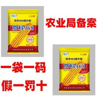 North-south tongseed stable yield corn seeds corn seeds disease-resistant and insect-resistant corn seeds cob seeds nationally approved original bafang harvest jingke 968 north-south tongseed national approval approximately 4500 grains 3