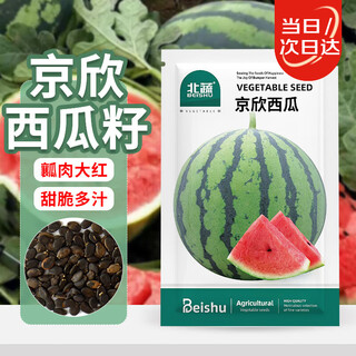 Beishu jingxin watermelon seeds seedlings big red flesh thin skin super crispy sweet potted melon seeds jingxin watermelon seeds about 50 pieces