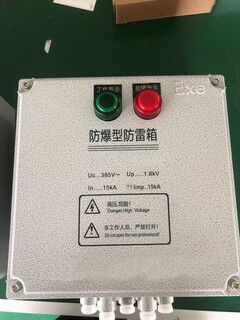 Lightning-proof and explosion-proof type explosion-proof box gas station mining three-phase single-phase power supply explosion-proof box upgrade model level 25ka