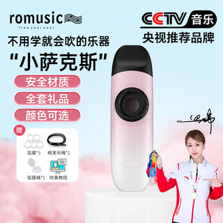 Romusic kazoo flute professional performance new gradient pink guitar ukulele companion beginner easy to learn musical instrument