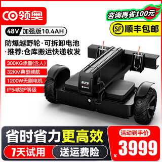 Lingao electric self-balancing trolley trolley, courier flatbed trolley, logistics warehouse industrial park, cloud warehouse sorting, pickup and delivery, delivery, cargo handling, transportation artifact tool trolley, load capacity 300kg, about 32km battery life/1200w dual motor/no trolley