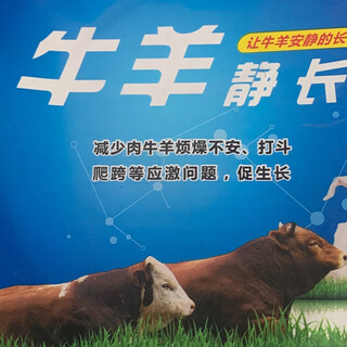 Jiuzhou dadi 0.1% premixed feed (cattle and sheep quiet long)#ease cattle and sheep fight#cattle and sheep quiet livestock additives 1 bag (1jin jin is equal to 0.5kg) can be mixed with 1000jin jin is equal to 0.5kg