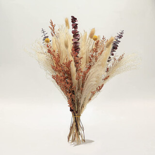 Mppmck small reed dried bunchgrass preserved flower set wedding decoration home window decoration reed dried flower hs01