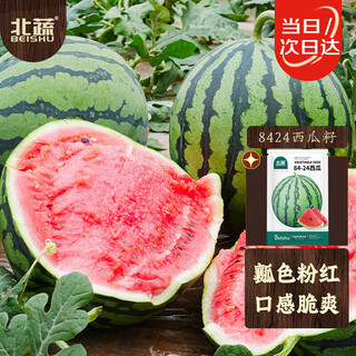 Beishu 8424 watermelon seeds seedlings kirin sweet crisp fruit seeds 8424 watermelon seeds about 30 pieces