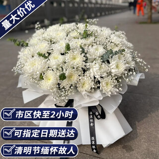 Aitong flowers delivers chrysanthemum bouquets in the same city for tomb sweeping day and hungry ghost festival. memorials, funerals, tomb-sweeping flowers, and grave-sweeping flowers. heavy 52 white chrysanthemums mixed and matched bouquets. delivery in the same city. supports appointment dates.