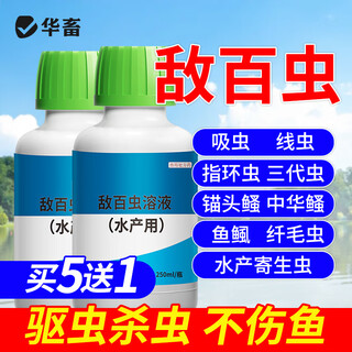 Chinese livestock trichlorfon fish medicine fish aquaculture internal and external insecticide fish pond special ringworm anchor head eel