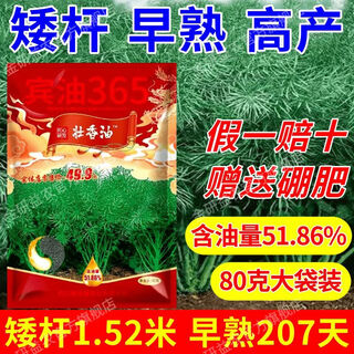 Стабильное производство семян рапса, ранний срок созревания, высокое содержание масла, карликовые стебли, устойчивость к болезням, устойчивость к полеганию, сильное кунжутное масло, крупные гранулы, официальный представитель sichuan short oil king, платите 10 за подделки, зарегистрированный гибридный рапс 80 г * 2 мешка + 2 мешка борного удобрения, карликовые стебли, устойчивость к болезням и устойчивость к полеганию