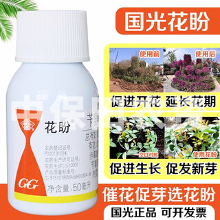Guoguang huapan 3.6% benzylaminopurine gibberellic acid a4+a7 cytokinin preserved flower fruit plant growth adjustment 50ml