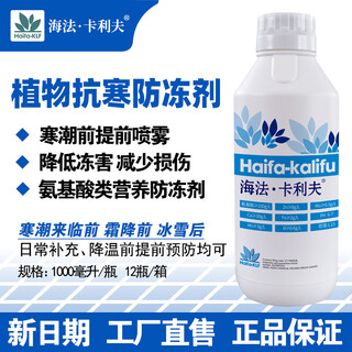 Haifa kalif plant antifreeze for vegetables and fruit trees, cold resistance and antifreeze, freeze damage antifreeze, wheat and cabbage growth promoting agricultural foliar fertilizer
