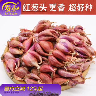 Shouhe four seasons red onions, shallot seeds, sichuan dry skin, winter and spring vegetables, laishucai balcony seeds, red onions, 1 jin jin is equal to 0.5 kg + 50g organic fertilizer