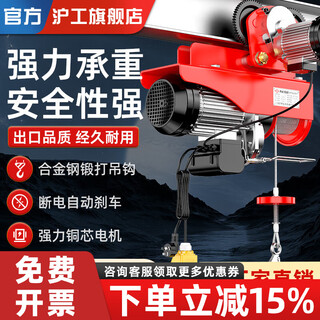 Shanghai industrial micro electric hoist 220v household small lifting crane hoist 1/0.5 ton small crane pa1200 conjoined 20 meters with 1t6 wheel sports car