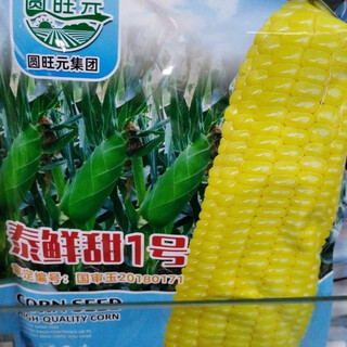 Импортная тайская высокоурожайная большая палочка Тайская свежая сладкая № 1 Подсолнечник № 10 Семена сладкой кукурузы Фруктовые семена кукурузы № 10 Тайская свежая сладкая № 2