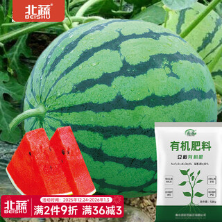 Northern vegetable kirin watermelon seed new varieties lazy man southern meidu watermelon seed rock sugar kirin melon seed 50 capsules + 1 bag of fertilizer