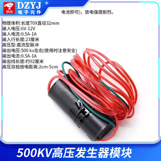 Dzyj arc pulse dc 400/1000kv pulse inverter generator ignition coil module high voltage package set 500kv high voltage generator module