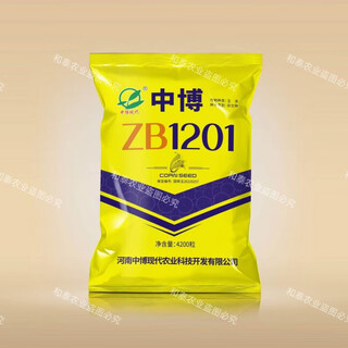 Luodong original zhongbo 1201 corn seed, nationally approved short-stem new corn with over ton yield per mu, disease resistance, insect resistance and lodging resistance, red shaft zhongbo zb1201 (4200 grains in one bag)