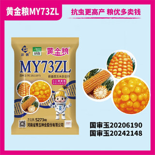 Golden grain my73zl Генетически модифицированная версия Устойчива к насекомым, устойчива к глифосату, устойчива к ржавчине, семена кукурузы со стабильной урожайностью, устойчивые к болезням семена 5273 капсулы в пакете 10+1, чтобы получить 11 пакетов
