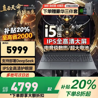 联想（Lenovo）拯救者Y7000P 2025补贴20% RTX5060满血独显学生游戏电竞轻薄笔记本电脑可选异能者/book16/斗战者 13代8核酷睿i5-13420H 32G内存 1T固态丨小