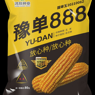 Семена кукурузы цветоносной густопосаженной Шаньдун и Хэбэй Юдан 888 золото 5000 зерен в пакете