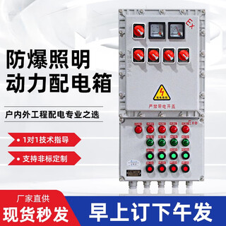 Bxm explosion-proof distribution box switching power supply maintenance junction box lighting power control box cabinet button instrument box ten circuits + main switch