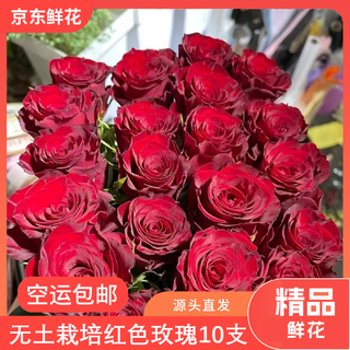 Jingdong flowers red rose boutique soilless culture new year's eve flowers valentine's day red roses 10 pack 45cm+ straight from the source