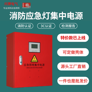 Type a emergency lighting centralized distribution box dc36v24v emergency lighting distribution box evacuation indicator light emergency lighting upgrade emergency lighting centralized power supply (engineering type) 1000w