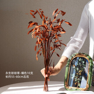 Dried flowers immortalized flower bouquet, real flowers, natural sense ins nordic style living room decoration vase, orange panpan grass (10 stems) immortal dried flowers, dried flower package