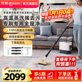 Donlim cloth cleaning machine sofa carpet curtain cleaning machine high temperature steam spray and suction integrated sterilization and mite removal car washing glass kitchen machine dl-7901 multi-function steam cleaning machine