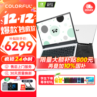 七彩虹（Colorful）隐星P16 Pro熊猫本游戏笔记本电脑高刷2.5K电竞屏酷睿HX学生AI设计剪辑视频畅玩黑神话悟空新品 熊猫白I9-13900HX 16G 1TB官标 满血RTX5060电竞