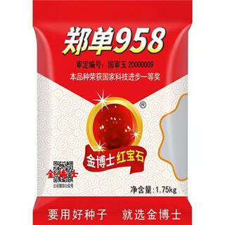 高产玉米种子郑单958抗旱抗倒抗病金博士种业国审品种大田南北方 【郑单958】红宝石1.6kg装1