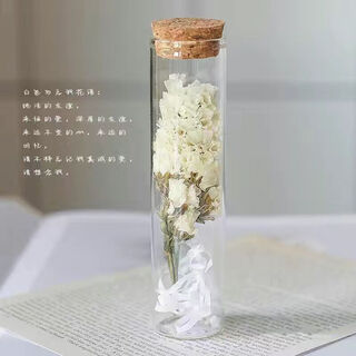 Give you a small red flower, glass test tube dried bouquet, eternal wishing bottle specimen wedding, graduation day birthday gift, baiwu wishing bottle