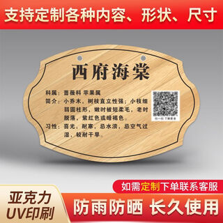 Вывеска о дереве, Знак знакомства с растениями, Табличка с именем дерева по индивидуальному заказу, Знак посадки деревьев, Знак ознакомления с деревьями, акрил sp-39 30х20см