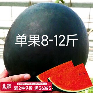 Beishu black watermelon seeds red heart fruit yuqilin black watermelon seeds 10 capsules