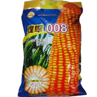 008 высокоурожайные гибридные семена кукурузы, засухоустойчивые, устойчивые к полеганию, короткие стебли, большие палки, высокоурожайные семена кормовой кукурузы, новые виды в этом году, семена кукурузы Хуандань 008, оригинальная селекция 1 упаковка (1 кг/упак.)