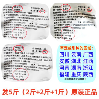 Drought-optimized, water-saving and drought-resistant hybrid upland rice seeds, dry paddy seeds, drought resistance, first-class fragrant, large, early-maturing, brand-new seeds 5 jin jin equals 0.5 kg, new seeds produced in 2025