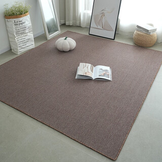 Xinjinngle living room carpet thickened anti-slip sofa coffee table blanket 2025 new studio photo plain color whole shop background blanket camel color 400cm*500cm hemming curly hair no creases