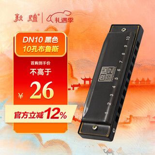 Dunhuang pangu zhenyi 10-hole blues harmonica dn10 black c key recommended for beginners
