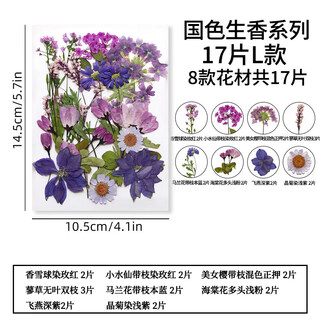Pupan natural glue dried flower embossed diy material package plant specimen children's bookmark face decoration real flower national color fragrance series l style