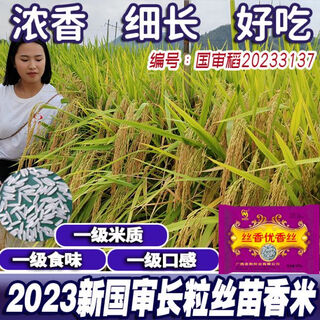 Passion younas long-grain rice passion early, mid-late and late rice first-class hybrid rice seed, silk youxiangsi original bag (500g) 2026 new seeds