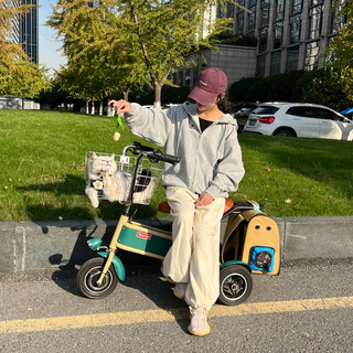 Emicro little frog, parent-child electric car, small mini scooter, folding family car for the elderly, electric three-wheel, xiaopo pet car version - single seat - lead-acid - battery life of about 80 miles