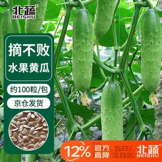 Beishu fruit cucumber seed seedlings cucumber summer potted rapeseed zhuo crisp weifang no. 2 fruit cucumber seeds 100 capsules