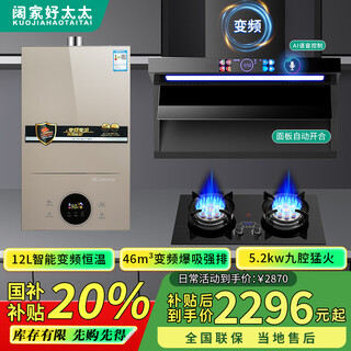Kuojia haotaitai frequency conversion large suction range hood gas stove set household top side double smoker stove two-piece set kitchen detachable range hood first-level energy efficiency national subsidy 20% three-piece set frequency conversion 46 + stove + 12l water heater (natural gas) door-to-door installation + national joint warranty