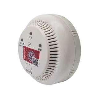 Beida jade bird combustible gas detector jbf5101b household gas methane detector newly released jt-jbf5101b (with base)