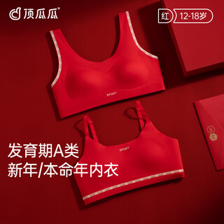 Dingguagua girl's development period tube top vest red girl bra set wide shoulder straps - girl's second and third stage animal year underwear single piece gift box l_recommended weight 80-95jin jin equals 0.5 kg