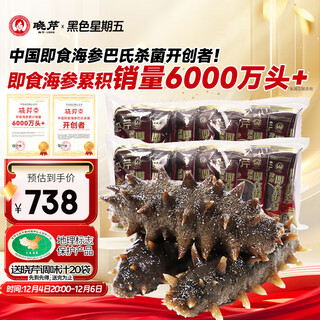 晓芹大连冷冻即食海参500g 10-14只*2袋 辽刺参 海鲜水产 非礼盒