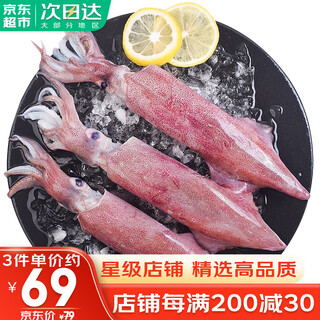 Duoxiansheng sea-caught red squid, live frozen squid pen tube, ink fountain, sea hare 1jin jin is equal to 0.5kg, seafood water produced fresh new year's eve dinner, large size 4-6 pieces 500g (net weight)